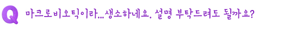 Q. 마크로비오틱이라...생소하네요.설명 부탁드려도 될까요?