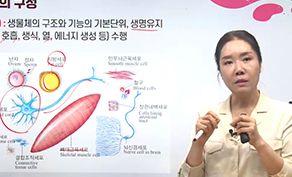 한방미용예술학과 영상