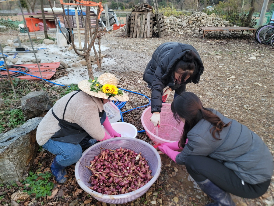 치유농업 동아리 팜파티2