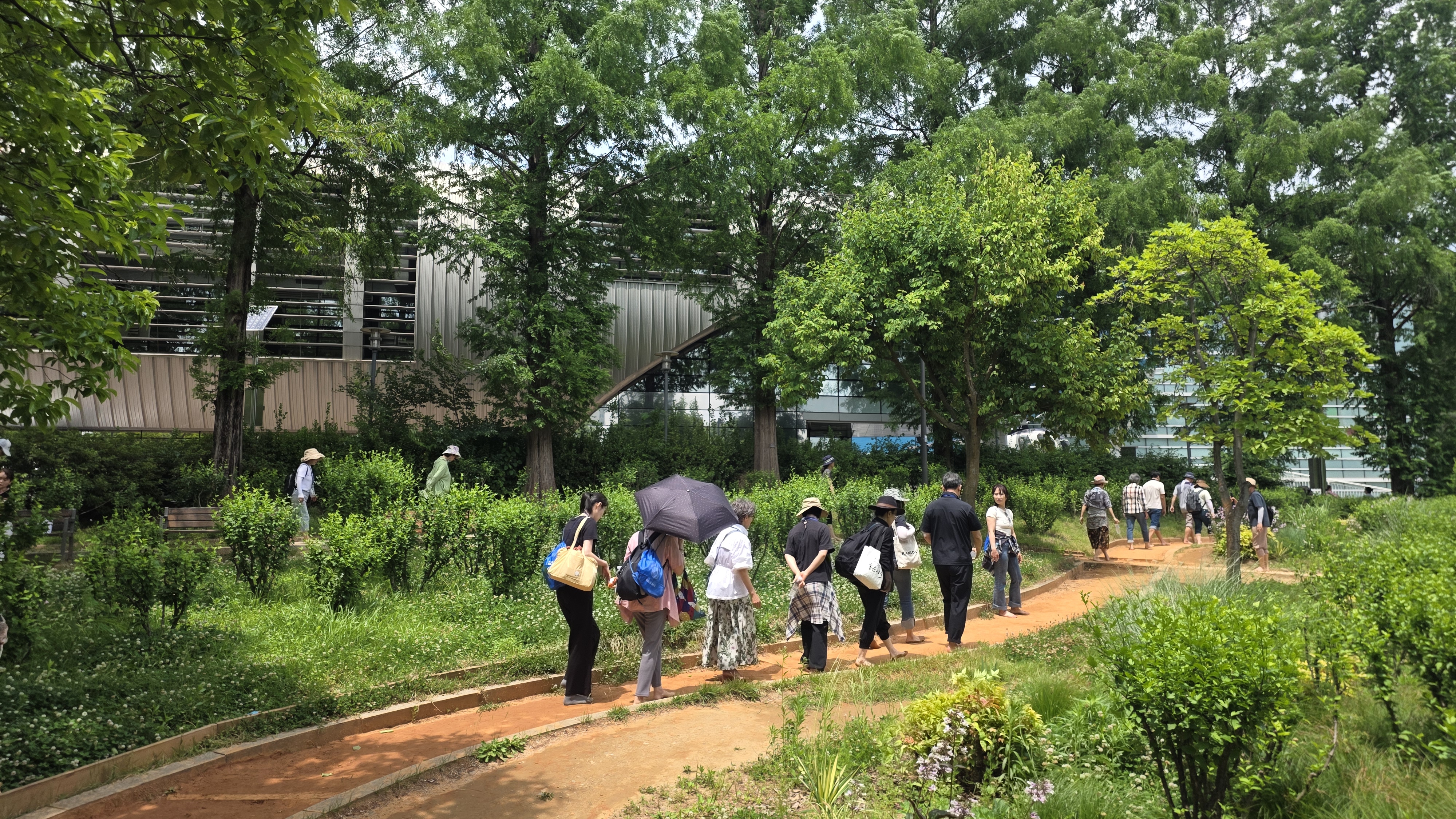 맨발걷기 체험 사진