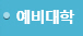 예비대학