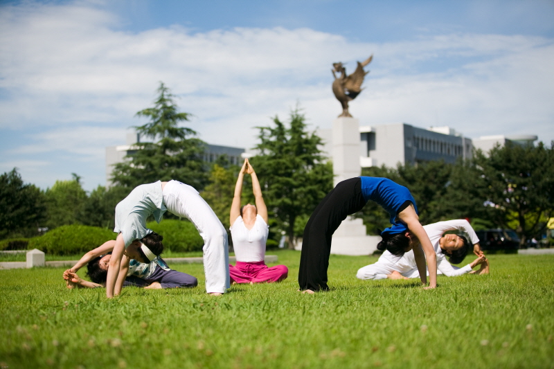 요가 동작을 시연하고 있는 학생들