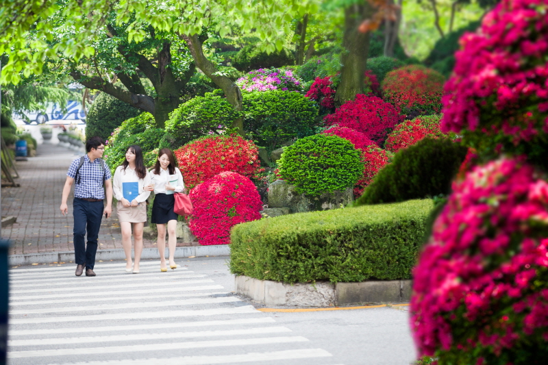 학생들이 걷는 모습