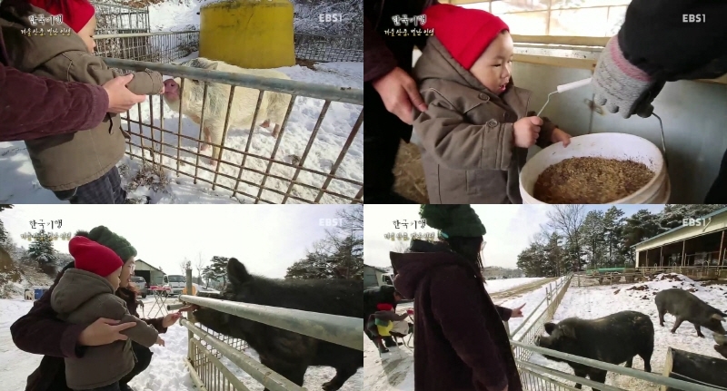 EBS1-한국기행 한방건강학과 동문 이연재씨 출연