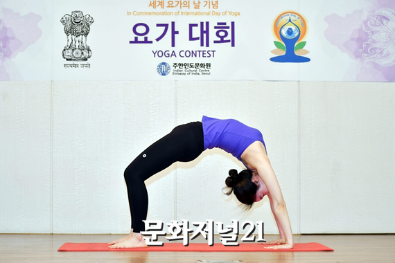 요가의 날 시연