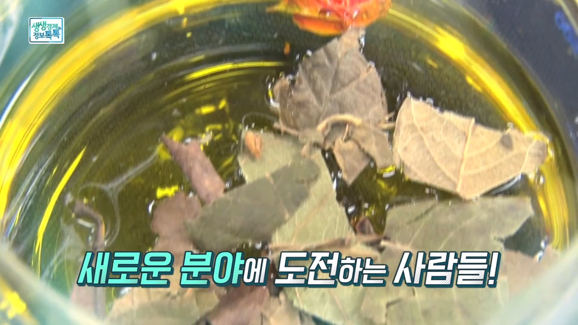 방송화면 캡쳐1